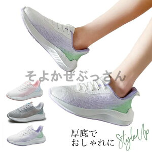 Xj[J[ jOV[Y fB[X  L ʋC ^ C  y y  sN  O[