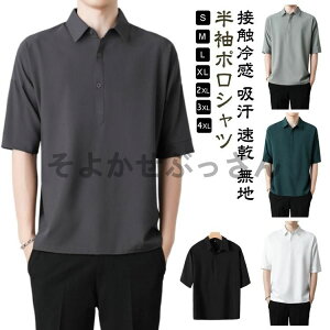 Y 5 |Vc M | d z X tBbg M[J[ ڐG⊴ Y n Vv  StEFA ʋ ItB