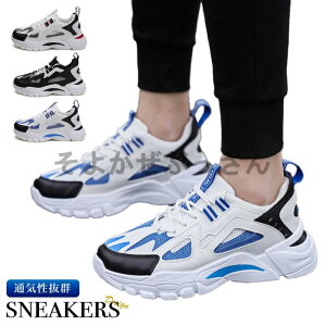 Xj[J[ Y jOV[Y  ʋC L ^ C S  NbV   