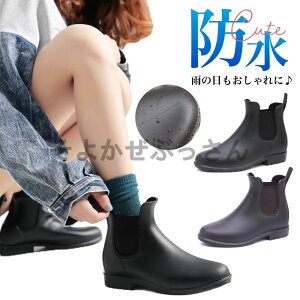 Cu[c CV[Y Xj[J[ fB[X V[g TChSA ʋ ₷  y