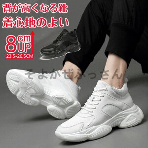 V[NbgV[Y 8cmAbv Y Xj[J[ V[NbgXj[J[8cmup  gAbv wȂC ~ ʋCQ K ^C