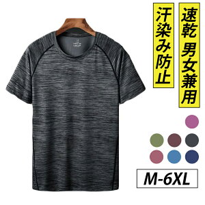 TVc  Y X|[cEFA tVc fB[X eB[Vc gbvX KEFA   ^ y UlbN 傫TCY N[lbN  JWA g[jO