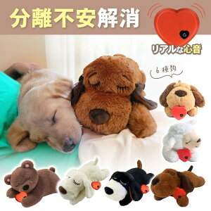  ʂ  S n[gr[g ybg sɘa n  ⏕  XgX  sPp