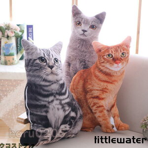 ʂ lR IWi ybg NbV ʐ^ L ˂ 3D wbh 50cm A Mtg a v[g