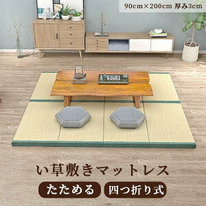 畳マットレス い草 マットラグ 折りたたみ カーペット 畳ベッド シングル 消臭 吸汗 除湿 吸湿 防カビ 布団 いぐさ 敷きパッド 置き畳 ござ