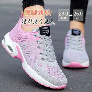  Xj[J[ fB[X D^ wlC _CGbg V[Y Ȃ y EH[LO X|[c bV ₷ WMO ^C