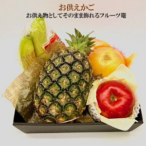 Ε  N[| Mtg t[c ʕ }cI  Ε Ε 2025  ~ p lߍ킹  ΕMtg lC  i Fl e Ƒ e  j j