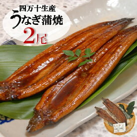 【エントリーでP10倍★】 お歳暮 早割 クーポン 冬ギフト ギフト うなぎ 惣菜 四万十生産 四万十味紀行 うなぎ蒲焼2尾（有頭） 御歳暮 歳暮 2025 送料無料 冬 贈答用 詰め合わせ お取り寄せ 歳暮ギフト 人気 高級 上司 友人 親戚 家族 両親 同僚 内祝い お祝い 御祝 お礼