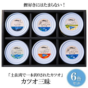 Ε  N[| Mtg y ʋl JcIO6ʃZbg Ε Ε 2025  ~ p lߍ킹  ΕMtg lC  i Fl e Ƒ e  j j 