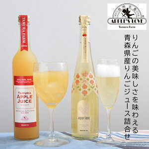 Ε  N[| Mtg hN S XY񂲃W[Xl TM-P2A Ε Ε 2025  ~ p lߍ킹  ΕMtg lC  i Fl e Ƒ 