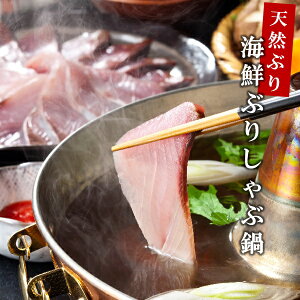 Ε  N[| ~Mtg Mtg O CN EG_ CNԂ肵ԓ Ε Ε 2025  ~ p lߍ킹  ΕMtg lC  i Fl e Ƒ e 