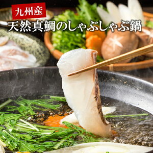 Ε  N[| Mtg O CN EG_ BYVR^̂Ԃԓ Ε Ε 2025  ~ p lߍ킹  ΕMtg lC  i Fl e Ƒ 