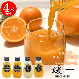 Ε  N[| Mtg W[X hN щʉ QW[X(160ml)4{Zbg Ε Ε 2025  ~ p lߍ킹  ΕMtg lC  i Fl e Ƒ