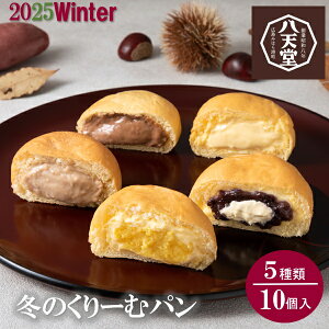 Ε  N[| Mtg XC[c p V ~̂[ރp510lwt166 Ε Ε 2025  ~ p lߍ킹  ΕMtg lC  i Fl e Ƒ