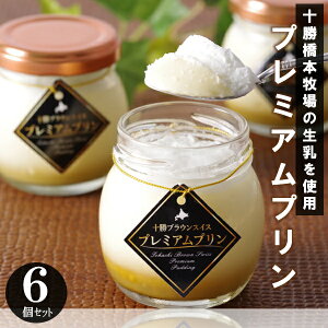 Ε  N[| ~Mtg Mtg XC[c v fB[t@Ng[ \uEXCXv~Av6Zbg Ε Ε 2025  ~ p lߍ킹  