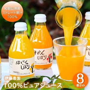 Ε ~Mtg Mtg W[X hN ɓ_ 100%sAW[X8{Zbg(50708g) Ε Ε 2025  ~ p lߍ킹  ΕMtg lC  i Fl e 