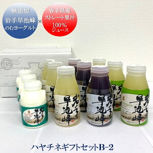 Ε ~Mtg Mtg W[X hN JAO[T[rXԊ n`lMtgZbgB-2 Ε Ε 2025  ~ p lߍ킹  ΕMtg lC  i Fl e