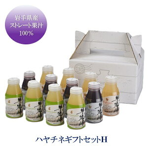お歳暮 早割 クーポン ギフト ジュース ドリンク JAグリーンサービス花巻 ハヤチネギフトセットH 御歳暮 歳暮 2025 送料無料 冬 贈答用 詰め合わせ お取り寄せ 歳暮ギフト 人気 高級 上司 友人