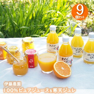 ���Ε� �~�M�t�g �M�t�g �W���[�X �h�����N �[���[ �ɓ��_�� 100%�s���A�W���[�X&���V�W�����Z�b�g(V-113) ��Ε� �Ε� 2025 �������� �~ �����p �l�ߍ��킹 ������ �Ε�M�t�g �l�C ���� ��