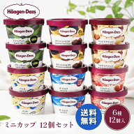 ギフト アイス スイーツ ハーゲンダッツ ミニカップ12個セット プレゼント お取り寄せ 高級 人気