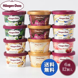 お歳暮 早割 クーポン 冬ギフト ギフト アイスクリーム ハーゲンダッツ ミニカップ12個セット 御歳暮 歳暮 2025 送料無料 冬 贈答用 詰め合わせ お取り寄せ 歳暮ギフト 人気 高級 上司 友人 親戚 家族 両親 同僚 内祝い お祝い 御祝 お礼 御礼