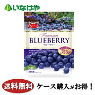 送料無料 冷凍食品 果物 フルーツ ライフフーズ ブルーベリー 1袋(350g)×12袋 ケース 業務用