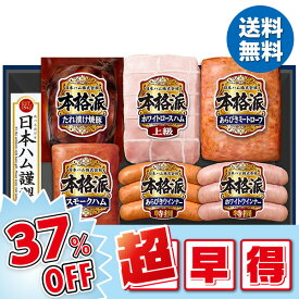 【今だけ5,400円→3,375円】 【37％OFF】 お中元 ギフト ハム 日本ハム 本格派ギフト NH-519 御中元 中元 2024 送料無料 夏 贈答用 詰め合わせ お取り寄せ 中元ギフト 暑中お見舞い 人気 高級 上司 友人 親戚 家族 両親 同僚 内祝い お祝い 御祝 お礼 御礼