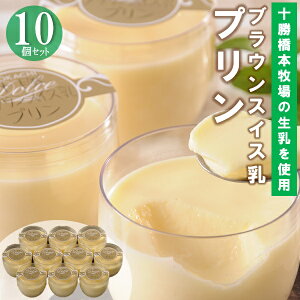 Ε  N[| ~Mtg Mtg XC[c v fB[t@Ng[ uEXCXv10 Ε Ε 2025  ~ p lߍ킹  ΕMtg lC 