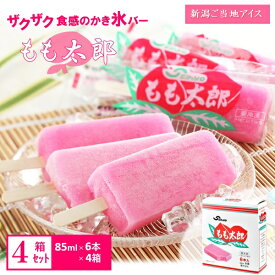 お中元 夏ギフト 送料無料 ギフト プレゼント スイーツ アイスクリーム セイヒョー 新潟ご当地アイス もも太郎セット 御中元 中元 夏 贈答用 詰め合わせ お取り寄せ 中元ギフト 人気 高級 上司 友人 親戚 家族 両親 同僚 内祝い お祝い 御祝 お礼 御礼