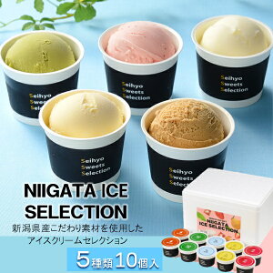 Ε  N[| Mtg ACXN[ ZCq[ NIIGATA ICE SELECTION 10 Ε Ε 2025  ~ p lߍ킹  ΕMtg lC  i Fl e Ƒ e 
