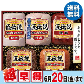 お中元 早割 ハム 焼豚 ギフト プリマハム 匠伝説ギフト 型番:TL-633 御中元 中元 2025 送料無料 夏 贈答用 詰め合わせ お取り寄せ 中元ギフト 人気 高級 上司 友人 親戚 家族 両親 同僚 内祝い お祝い 御祝 お礼 御礼