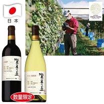 楽天市場】登美の丘 ワインサントリーセットの通販