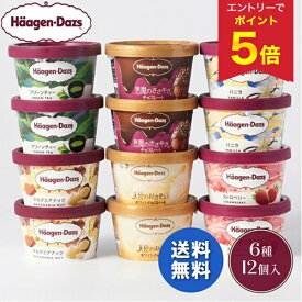 【エントリーで今だけP5倍】 お歳暮 早割 クーポン 冬ギフト ギフト アイスクリーム ハーゲンダッツ ミニカップ12個セット 御歳暮 歳暮 2025 送料無料 冬 贈答用 詰め合わせ お取り寄せ 歳暮ギフト 人気 高級 上司 友人 親戚 家族 両親 同僚 内祝い お祝い 御祝 お礼 御礼