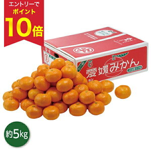 yGg[P10{z Ε  N[| ~Mtg Mtg t[c ݂ QY ̐Ԕ݂ Ε Ε 2025  ~ p lߍ킹  ΕMtg lC 