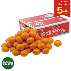 yGg[ōP5{z Ε  N[| ~Mtg Mtg t[c ݂ QY ̐Ԕ݂ Ε Ε 2025  ~ p lߍ킹  ΕMtg lC