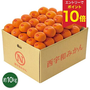 yGg[P10{z Ε  N[| ~Mtg Mtg t[c ݂ QY ^݂ 10kg Ε Ε 2025  ~ p lߍ킹  ΕMtg lC  