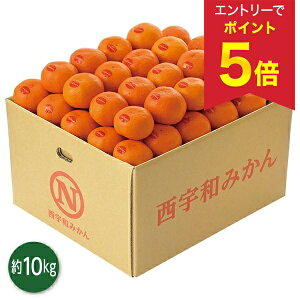 yGg[ōP5{z Ε  N[| ~Mtg Mtg t[c ݂ QY ^݂ 10kg Ε Ε 2025  ~ p lߍ킹  ΕMtg lC 