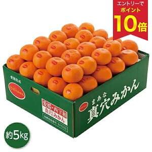 yGg[P10{z Ε  N[| ~Mtg Mtg t[c ݂ QY ^݂ 5kg Ε Ε 2025  ~ p lߍ킹  ΕMtg lC  