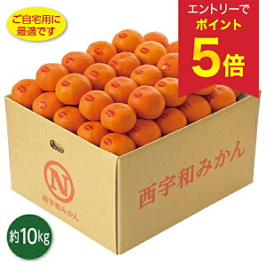 yGg[ōP5{z Ε  N[| ~Mtg Mtg t[c ݂ QY ^݂i̕j Ε Ε 2025  ~ p lߍ킹  ΕMtg 