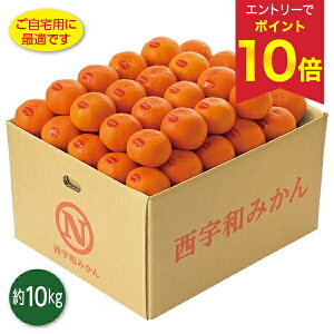 yGg[P10{z Ε  N[| ~Mtg Mtg t[c ݂ QY ^݂i̕j Ε Ε 2025  ~ p lߍ킹  ΕMtg l