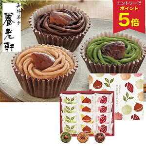 yGg[ōP5{z Ε  N[| ~Mtg Mtg َq s {V aȈĂu ^:YJ-SCM Ε Ε 2025  ~ p lߍ킹  Ε