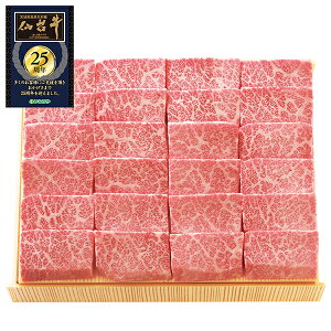 Ε  N[| Mtg  ē 䋍ēpioj Ε Ε 2025  ~ p lߍ킹  ΕMtg lC  i Fl e Ƒ e  j j