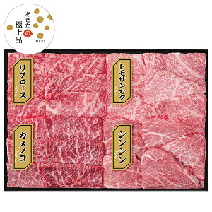 Ε  N[| ~Mtg Mtg  ē Hcēp4Hה ^:AC-YK101 Ε Ε 2025  ~ p lߍ킹  ΕMtg lC  i Fl e Ƒ