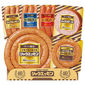 Ε  N[| Mtg ECi[ {n MtgVEGbZZbg ^:SEG-500 Ε Ε 2025  ~ p lߍ킹  ΕMtg lC  i Fl 