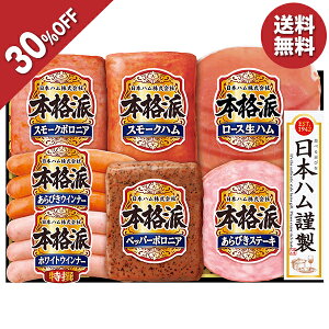 y4,320~3,024~z y30OFFz Ε  N[| ~Mtg Mtg n ECi[ {n {ihMtg ^:NH-343 Ε Ε 2025  ~ p lߍ킹  