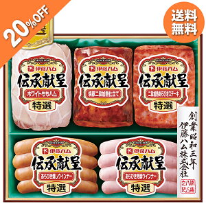 y20OFFz Ε  N[| ~Mtg Mtg n ECi[ ɓn `Mtg ^:IGM-3N Ε Ε 2025  ~ p lߍ킹  ΕMtg lC  