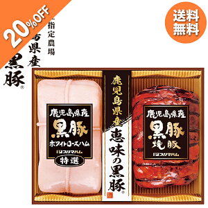 y20OFFz Ε  N[| ~Mtg Mtg n ē v}n Y b̍؃Mtg ^:BP-41iRj Ε Ε 2025  ~ p lߍ킹  ΕMtg 