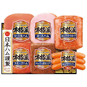 Ε  N[| n ECi[ ~Mtg Mtg {n {ihMtg ^:NH-506 Ε Ε 2025  ~ p lߍ킹  ΕMtg lC  i Fl e 