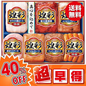 Ε  n ē Mtg ۑHi ʃMtg ^:MV-507 Ε Ε 2025  ~ p lߍ킹  ΕMtg lC  i Fl e Ƒ e  j j