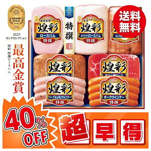 Ε  n ECi[ Mtg ۑHi ʃMtg ^:MV-767 Ε Ε 2025  ~ p lߍ킹  ΕMtg lC  i Fl e Ƒ e  j 